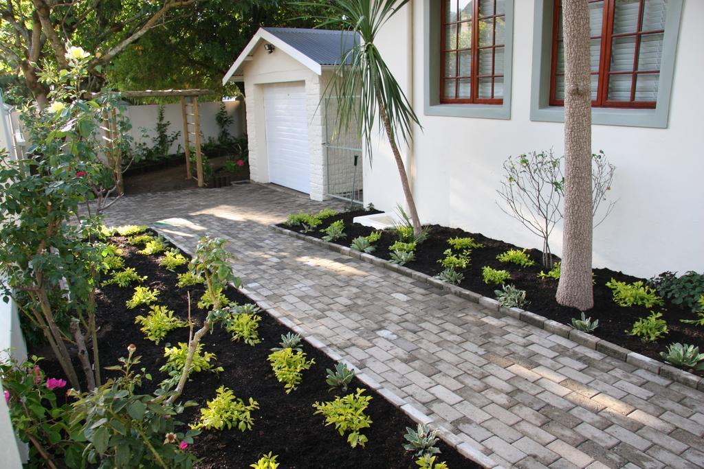 Cape Robin Franschhoek