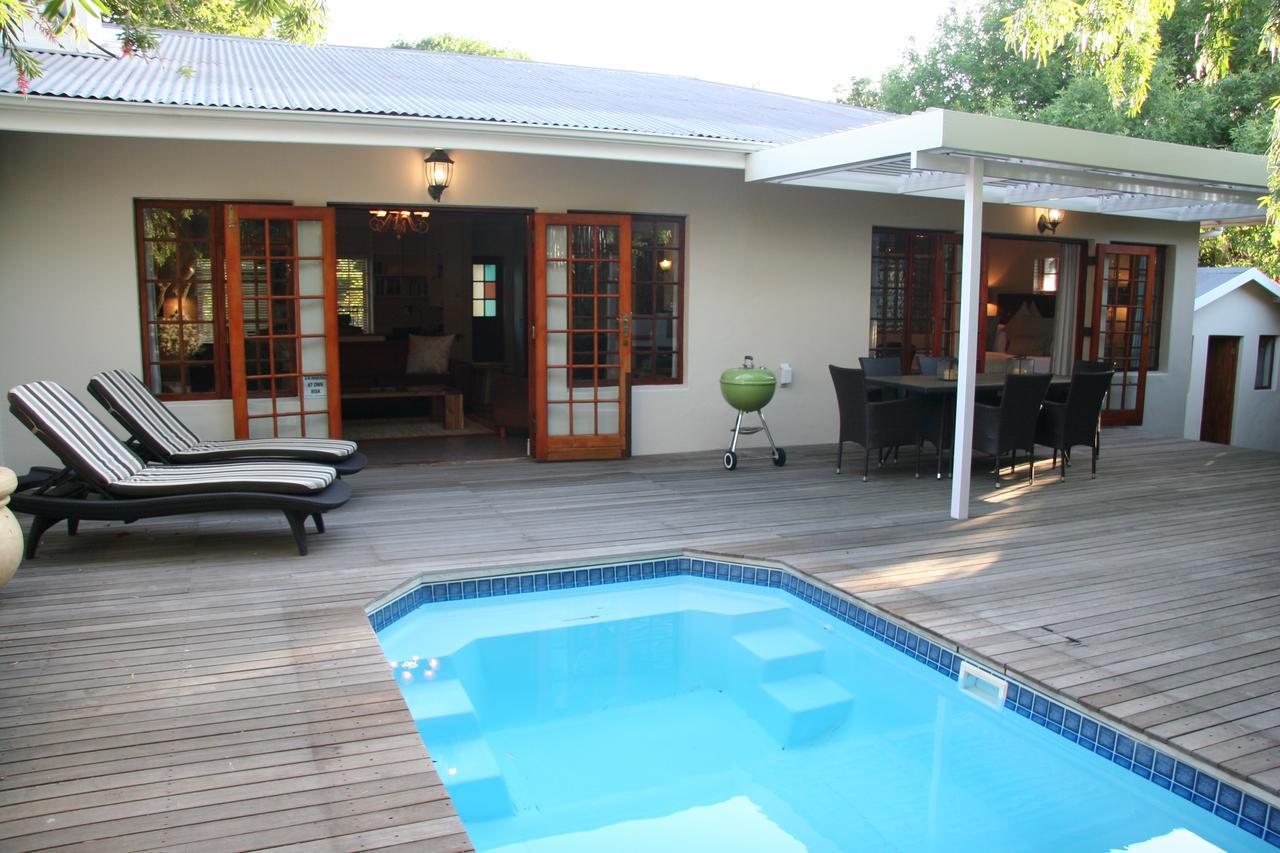 Cape Robin * Franschhoek